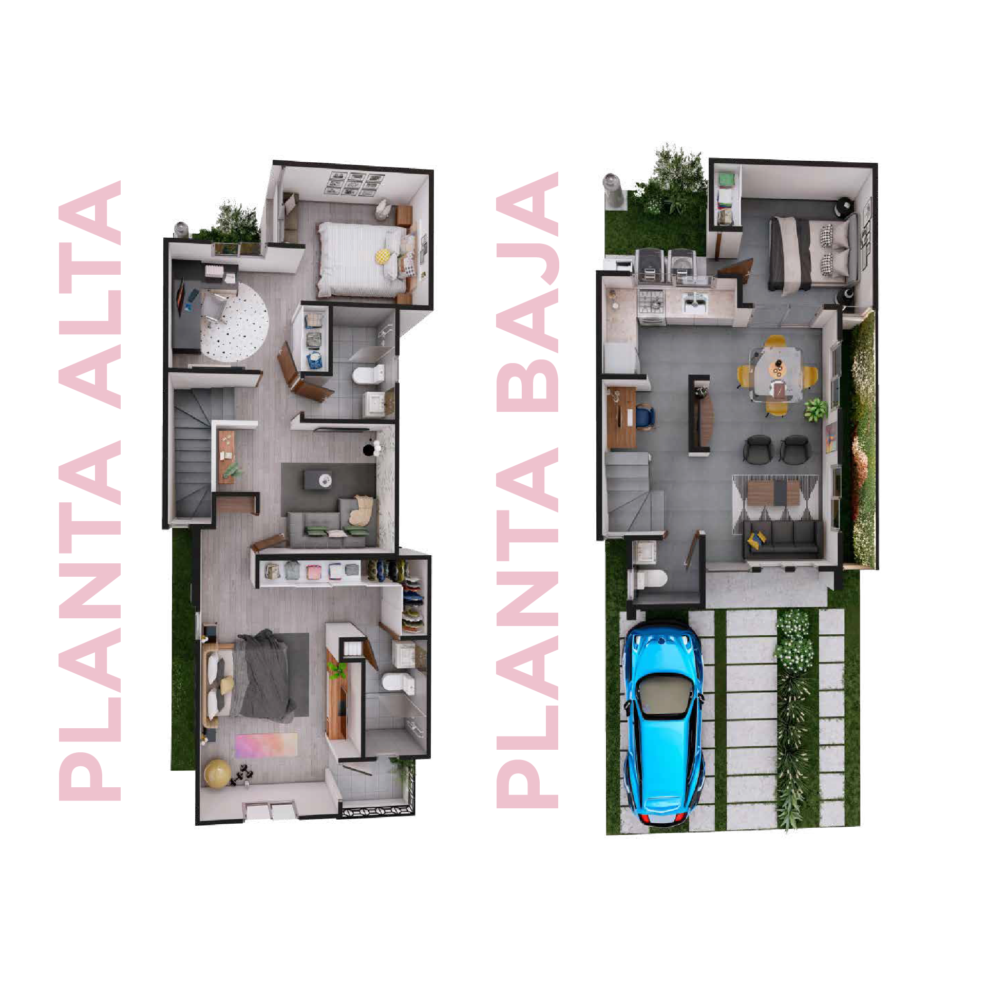 Planta Baja Belora