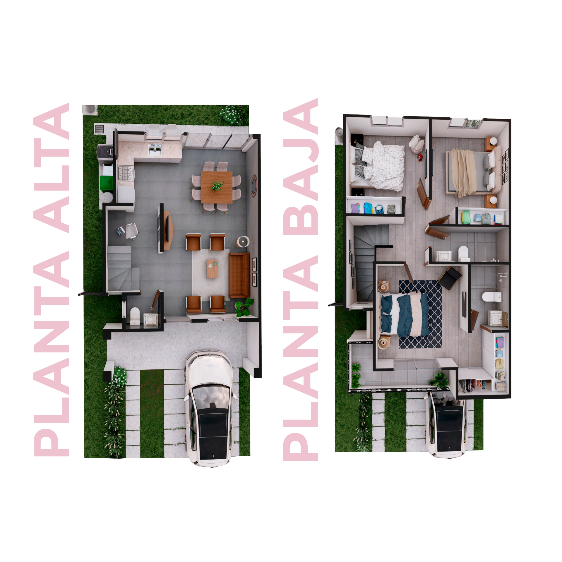 Planta Baja Carlina